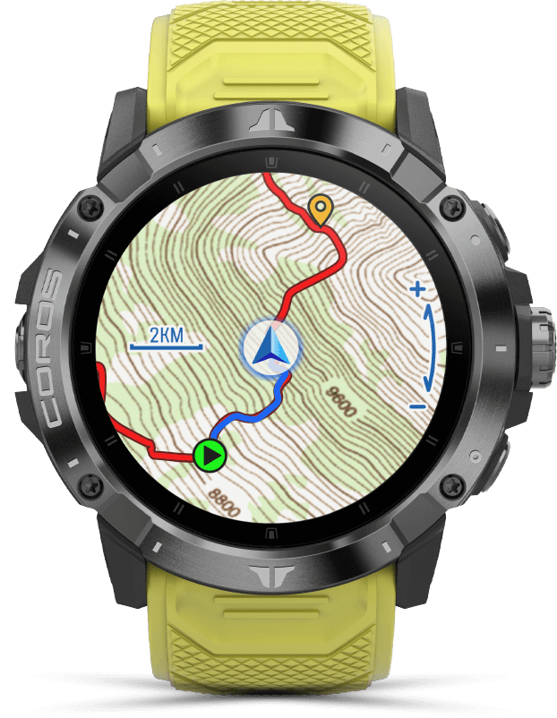 cheap ladies watches